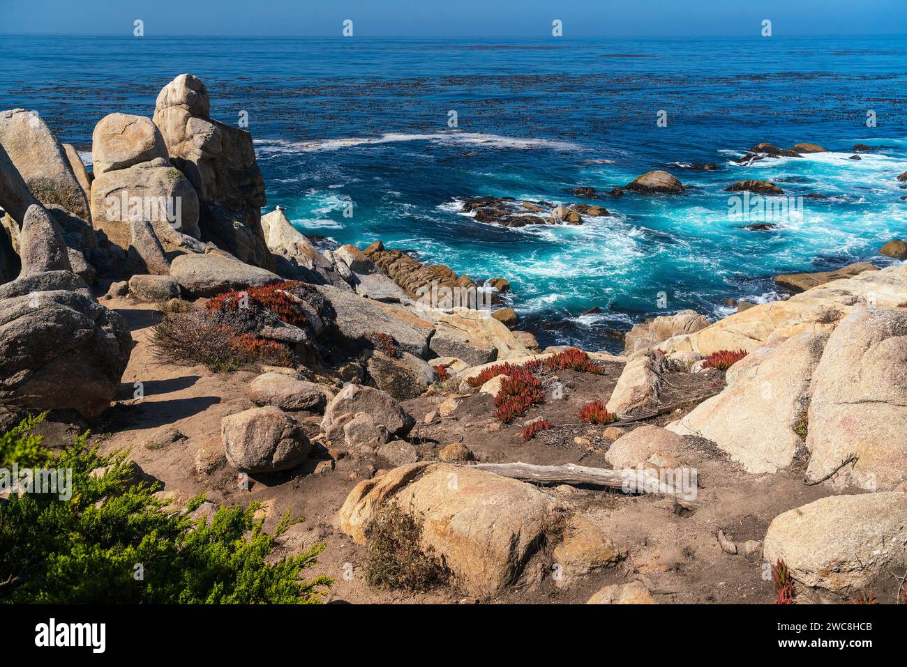 Berühmte, zerklüftete Küste entlang des 17-Mile Drive in der Nähe von Pebble Beach, Kalifornien Stockfoto