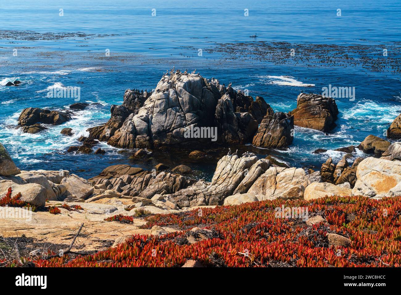 Berühmte, zerklüftete Küste entlang des 17-Mile Drive in der Nähe von Pebble Beach, Kalifornien Stockfoto