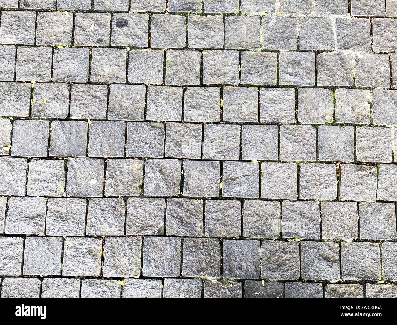 Die steinartige Textur des Betonhintergrunds vermittelt ein Gefühl von Authentizität. Stockfoto