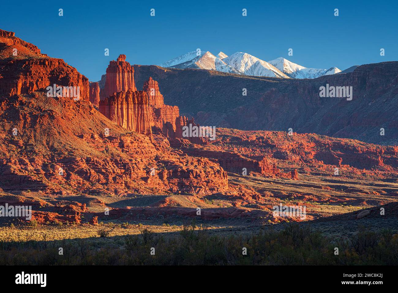 Fisher Towers leuchtet am späten Nachmittag im Licht der schneebedeckten La Sal Mountains als Kulisse Stockfoto