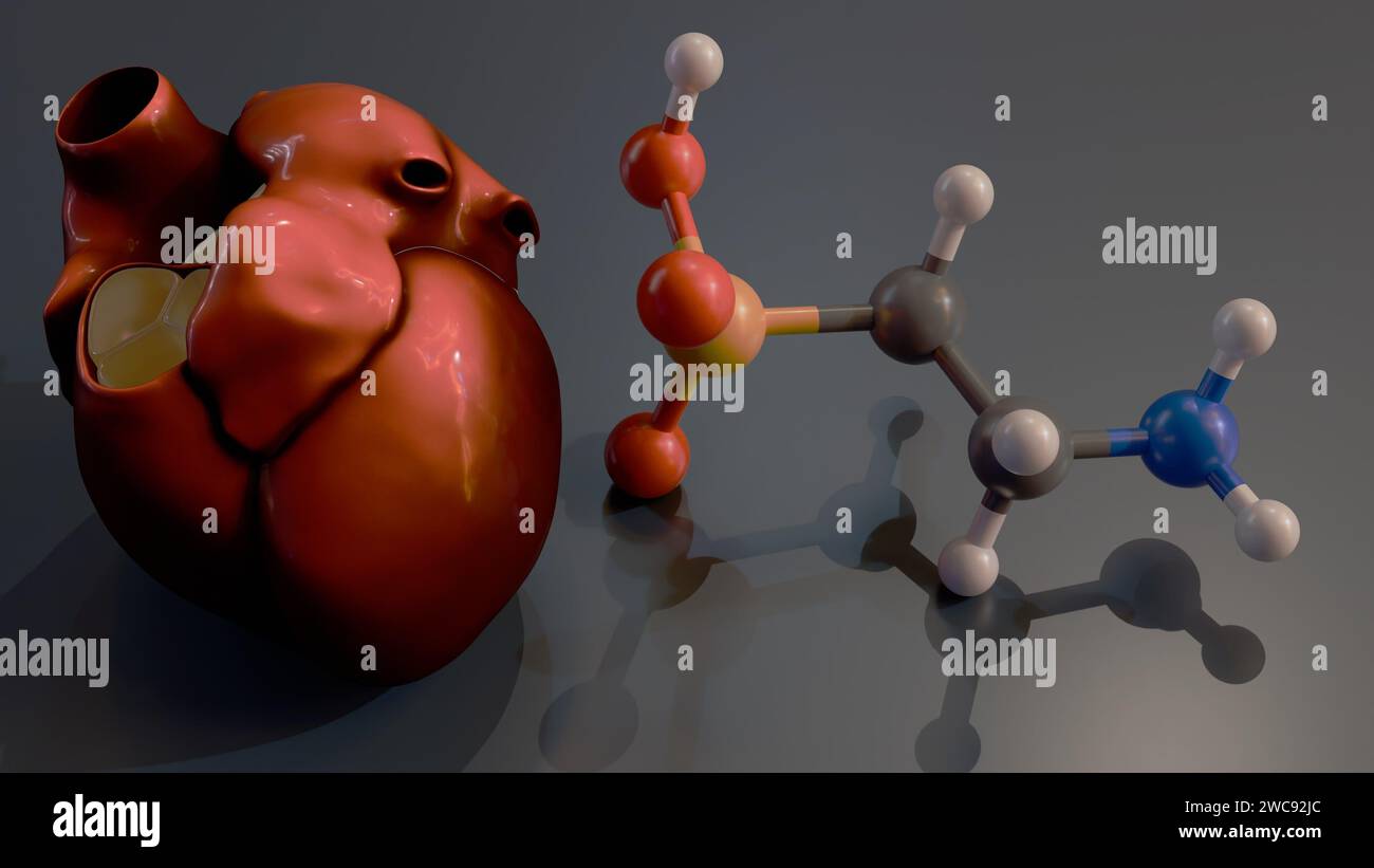 3D-Rendering von 2-Aminoethansulfonsäure oder Taurinmolekül und menschlichem Herz, Stockfoto