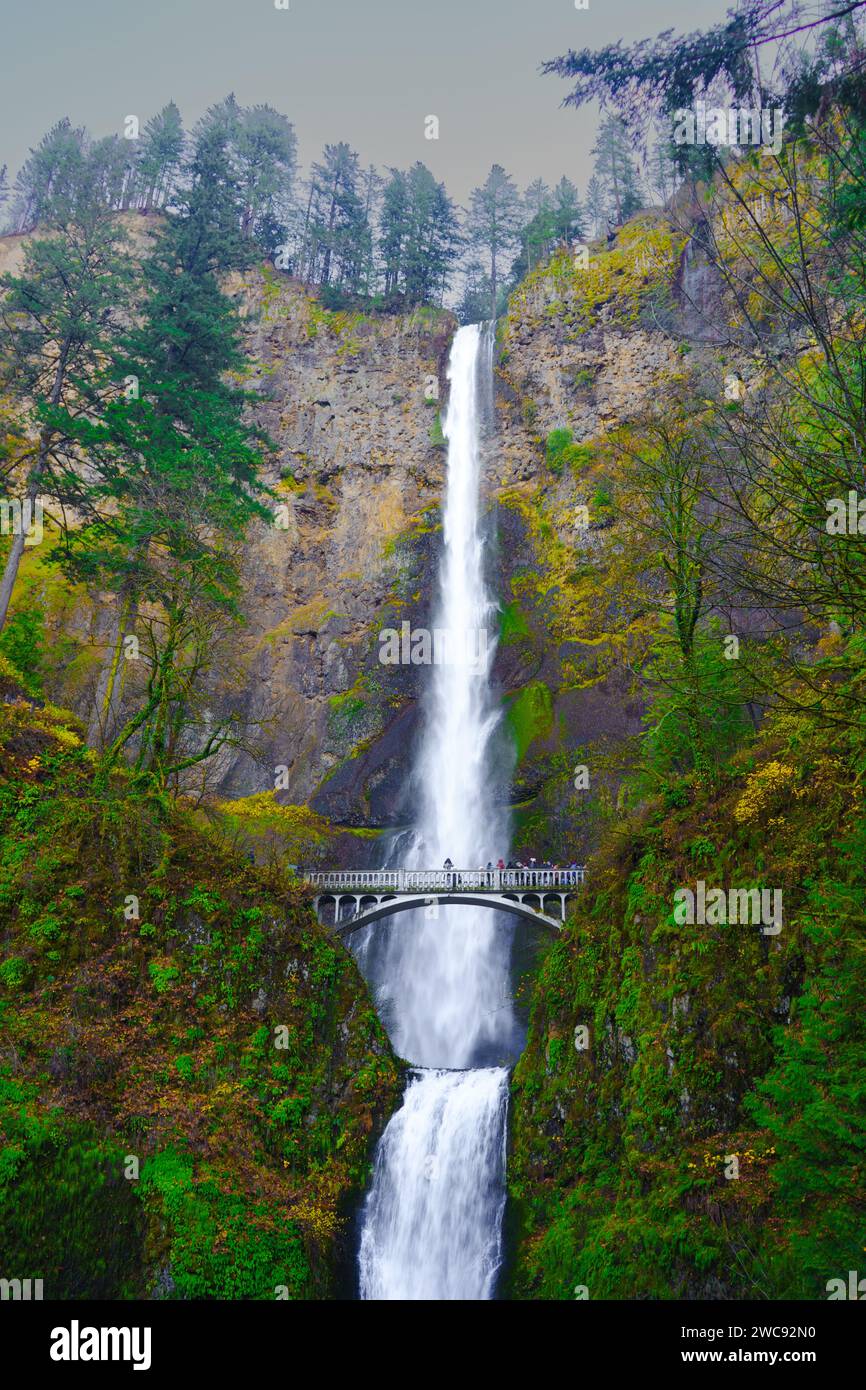 Vollständiger Blick auf die Multnomah Falls der Columbia River Gorge, Oregon Stockfoto