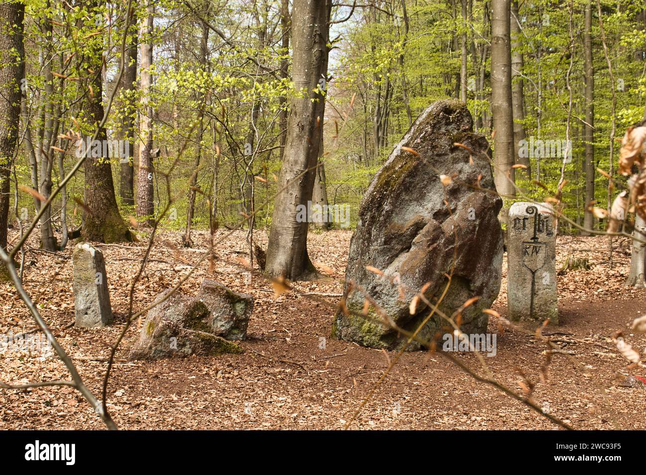 Hinkelsteindenkmal hinter Baumzweigen an einem Frühlingstag im Pfälzerwald. Stockfoto