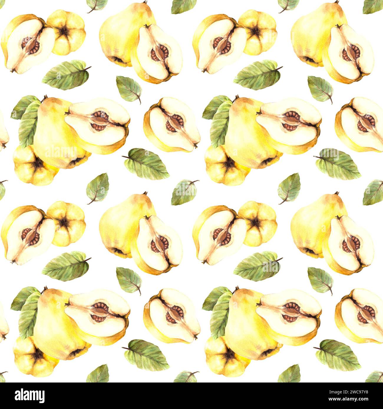 Handgemaltes, nahtloses Muster in Aquarellfarben. Gelbe saftige Quitte ganz und geschnittene Frucht mit Zweig und Blättern Illustration. Wiederholtes Clipart für Umhüllung Stockfoto