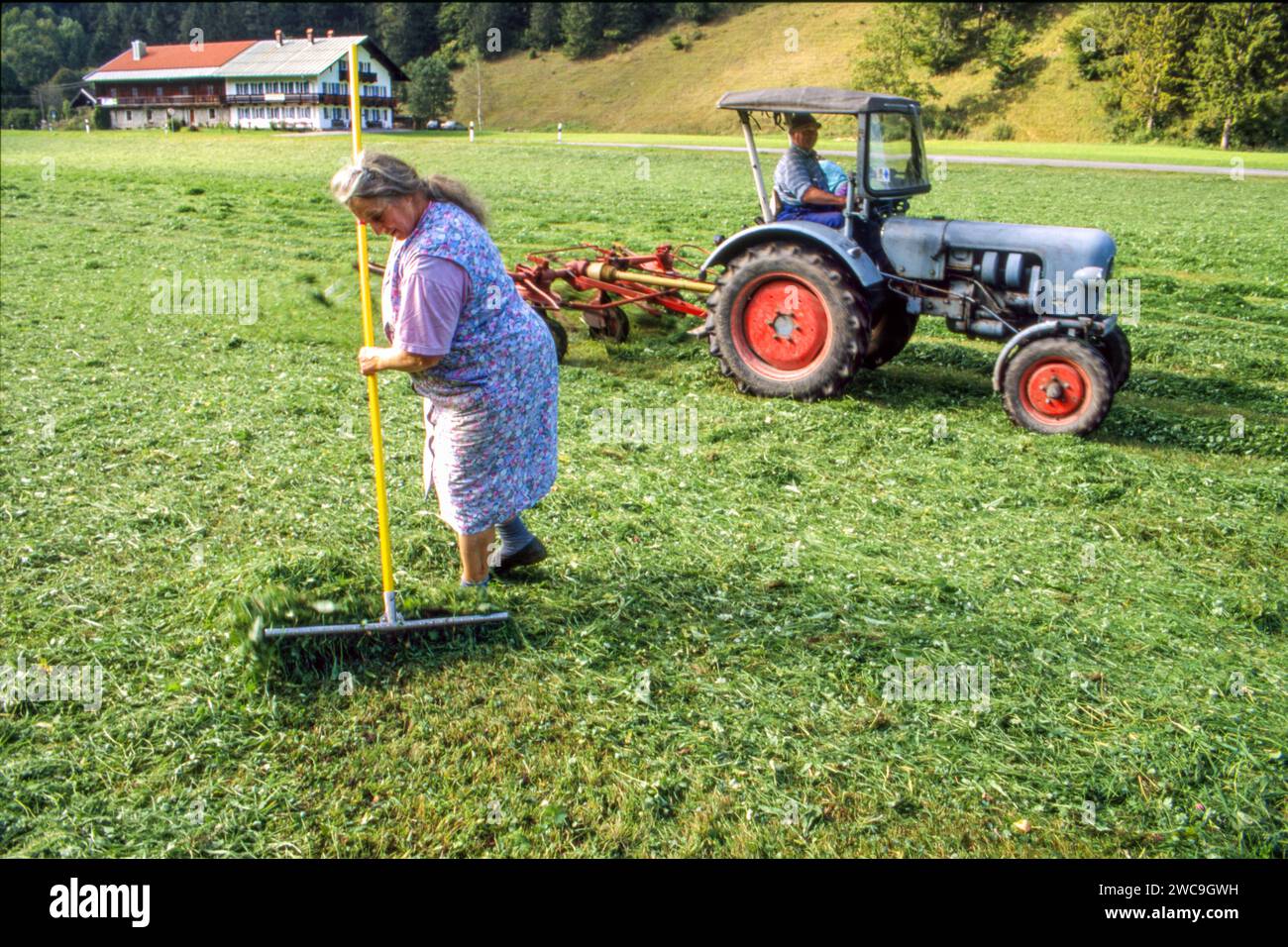 Bäuerin beim Heuwenden, Bauer mit Traktor, bäuerliche Idylle, Jachenau, Bayern, September 1994 Deutschland, Jachenau, September 1994, Bäuerin beim Heuwenden, ältere Landwirtin dreht mit einem Rechen das Gras von Hand, das gemähte Gras wird zum Trocknen gewendet, Winterfutter für die Tiere, Bauer mit Traktor bei der Feldarbeit, traditionelle Landwirtschaft, Bauernhof, harte körperliche Arbeit, Heu machen, Idylle, die Jachenau ist ein langgezogenes Tal zwischen Walchensee und Isar, liegt im oberbayerischen Landkreis Bad Tölz-Wolfratshausen, der Traktor hat einen CSU-Aufkleber an der Frontscheibe Stockfoto