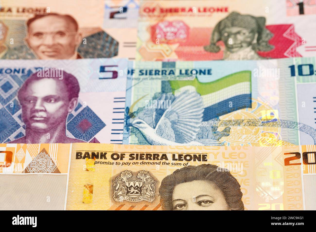 Sierra Leonean Money - leone ein geschäftlicher Hintergrund Stockfoto