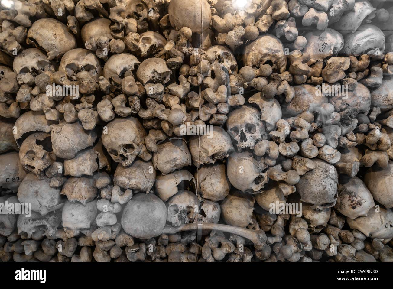 Schädel im Ossuarium in Kranj, Slowenien. Stockfoto