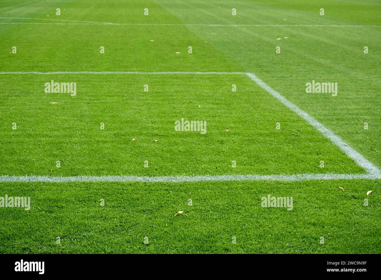 Fußballfeld in der Nähe von Plan Stockfoto