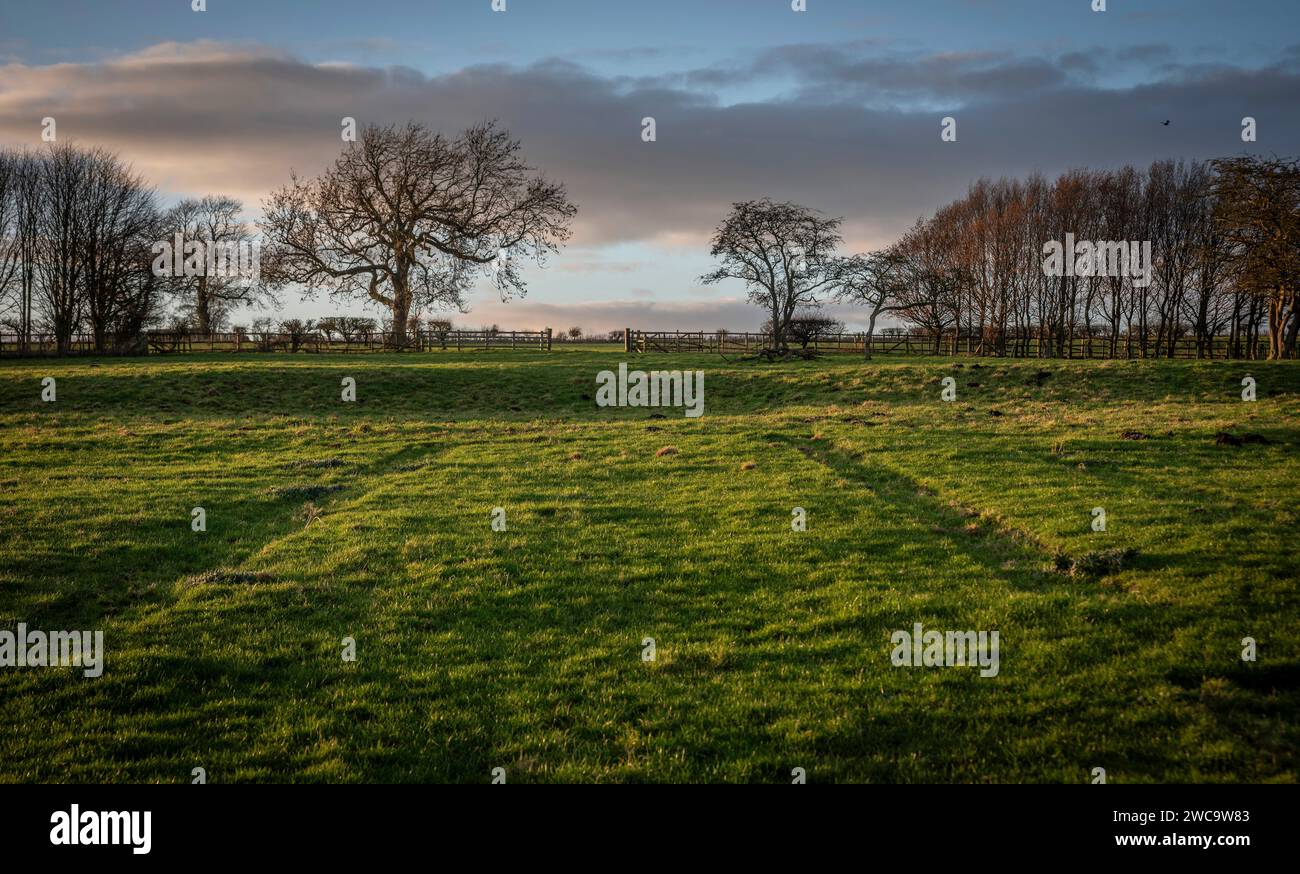 Spuren von Häusern im verlassenen mittelalterlichen Dorf Wharram Percy in North Yorkshire, Großbritannien Stockfoto