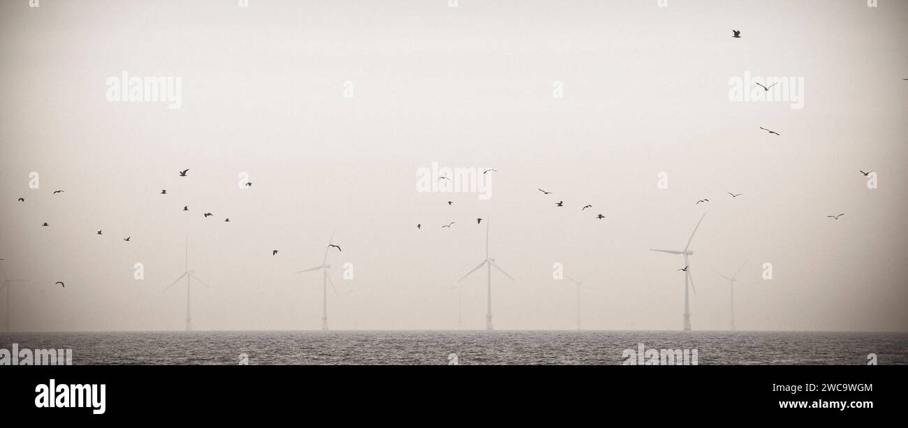 Windturbinen im Offshore-Windpark in Egmond aan Zee in den Niederlanden. Stockfoto