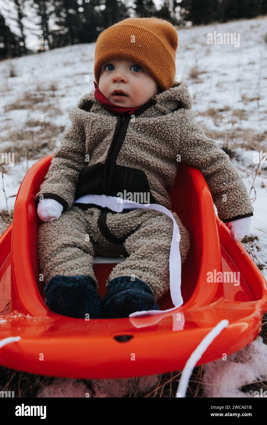 Der kleine Junge wartet glücklich auf das weihnachtsbaumabenteuer Stockfoto