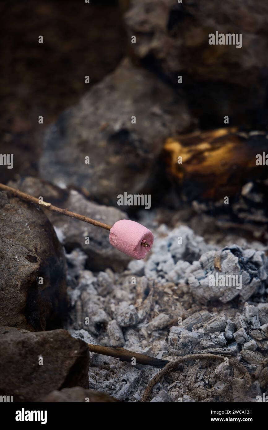 Eine Nahaufnahme eines Marshmallow, der auf einen Stock gespießt wurde, der über einem brennenden Holzkohlefeuer gehalten wird Stockfoto