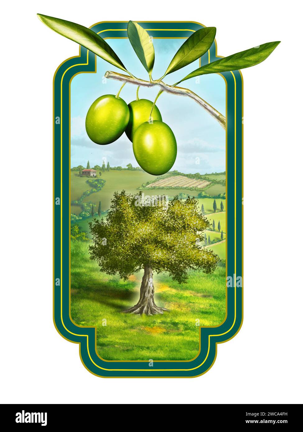 Olivenöletikett mit einer wunderschönen Landschaft. Digitale Illustration, Beschneidungspfad enthalten. Stockfoto