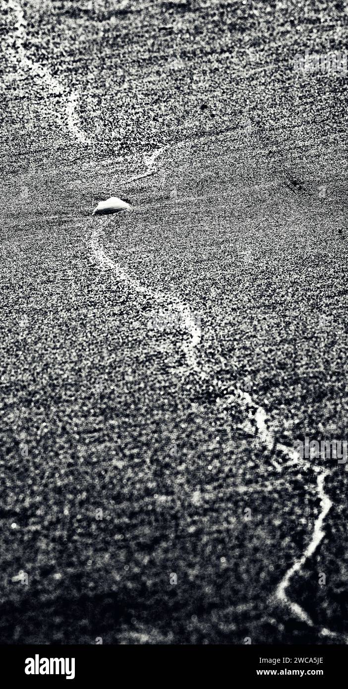 Linie zwischen Wasser und Land, die zu einer Muschel am Strand von Denia führt Stockfoto