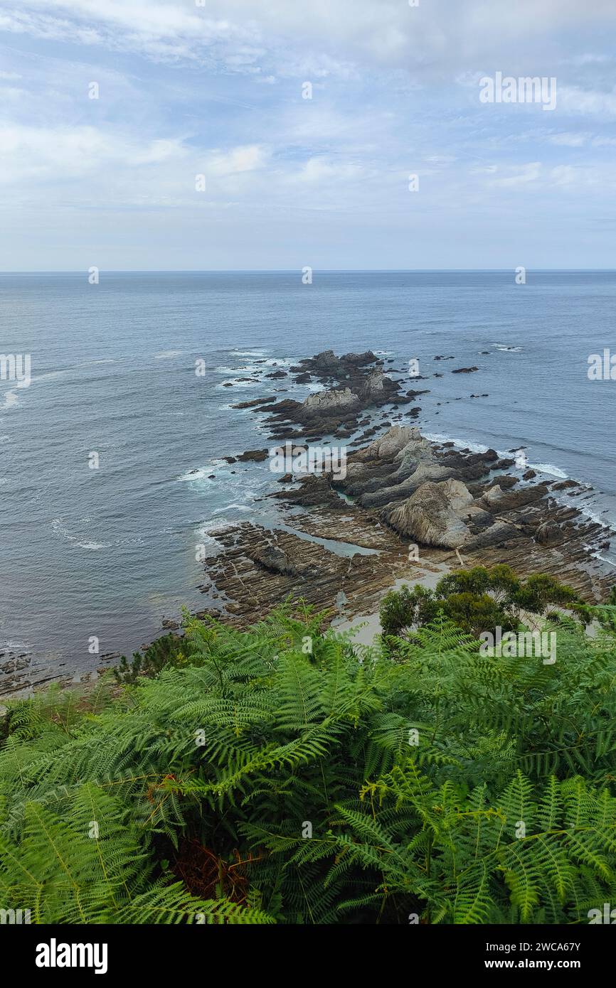 Malerische Aussicht auf felsige Küsten und blaues Meer, umgeben von üppigen grünen Farnen unter einem bewölkten Himmel Stockfoto