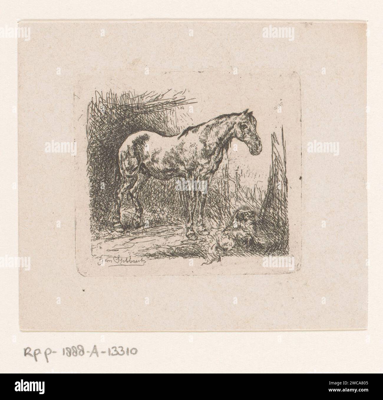 Pferd und ein Hund, Jan Stobbaerts, 1848 - 1879 Druckpapier Gravur Hund. Pferd Stockfoto