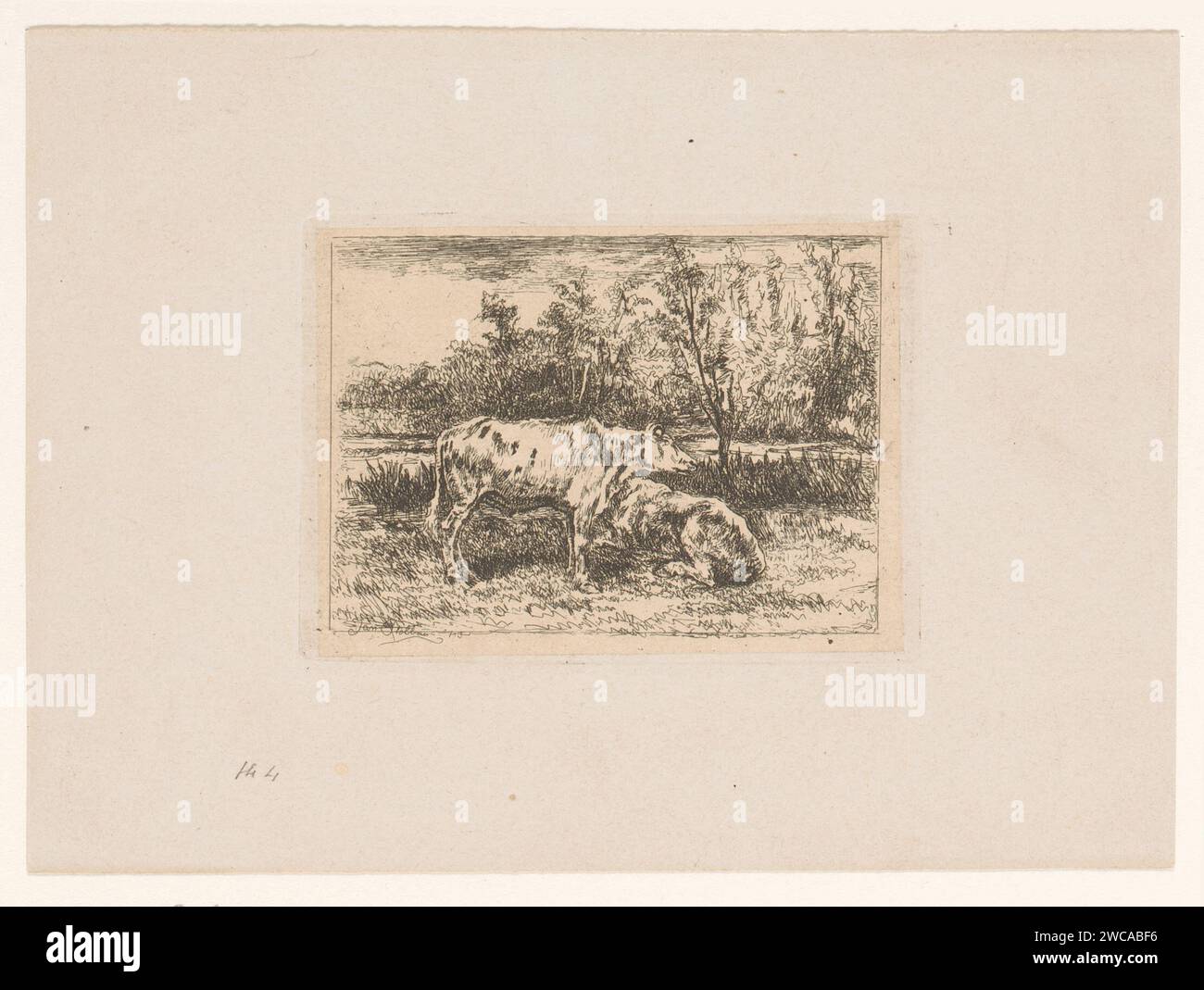 Zwei Kühe auf einer Wiese, Jan Stobbaerts, 1848 - 1879 Druckpapier. Ätzkühe. Wiese, Weide Stockfoto