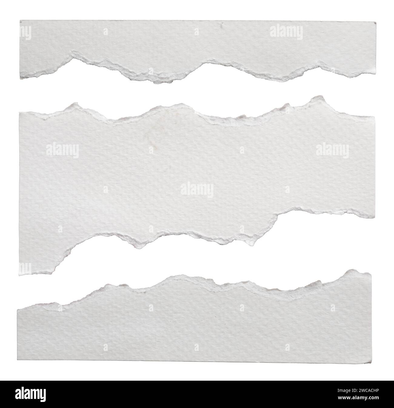 Gerissenes Aquarellpapier mit gezackter Kante auf weißem Hintergrund mit Beschneidungspfad Stockfoto
