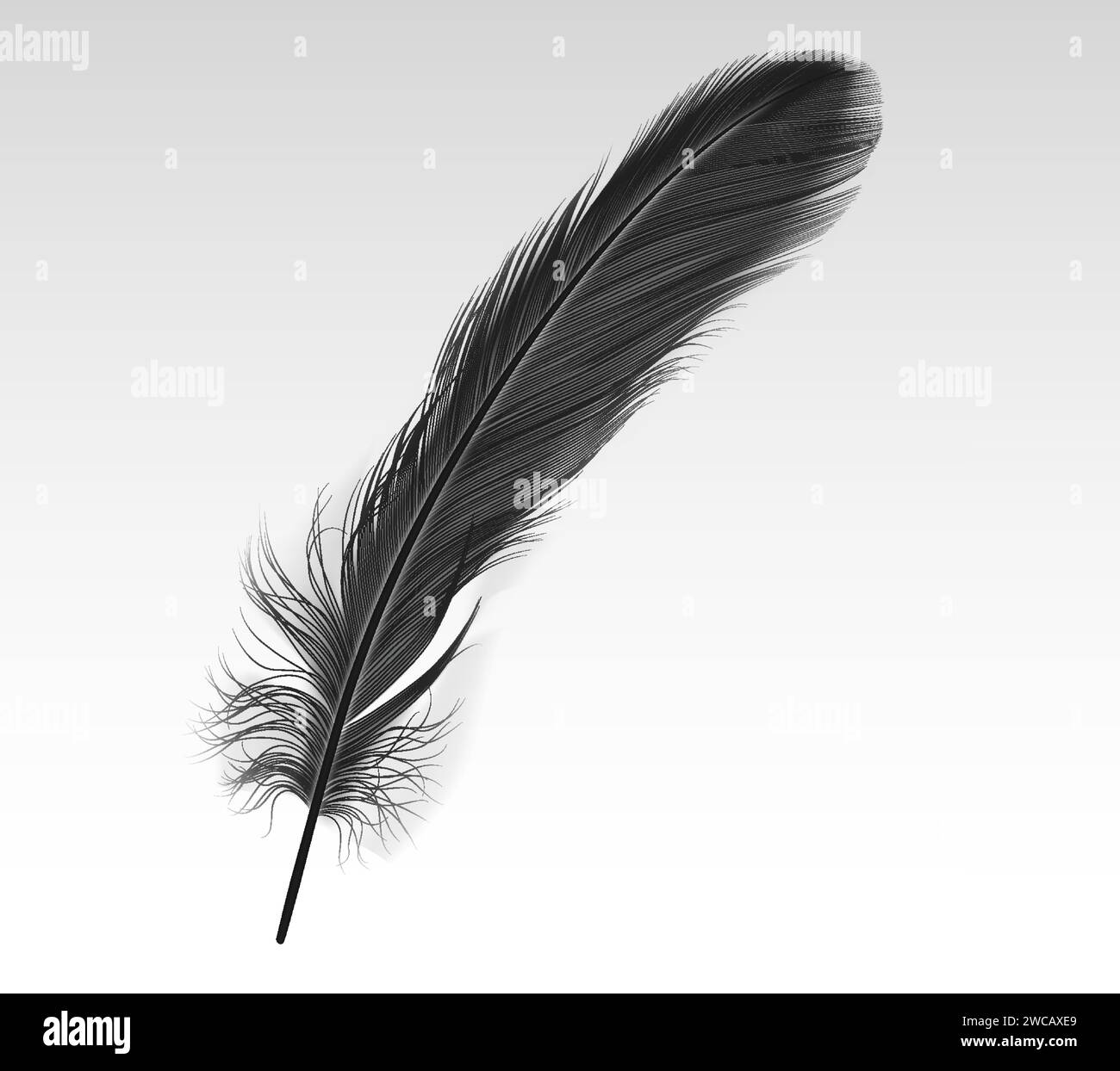 Einzelne schwarze Feder realistische Vektorillustration auf weißem Hintergrund. Dunkle Krähenfeder 3D-Designelement. Weiches Vogelgefieder, Teilbild Stock Vektor