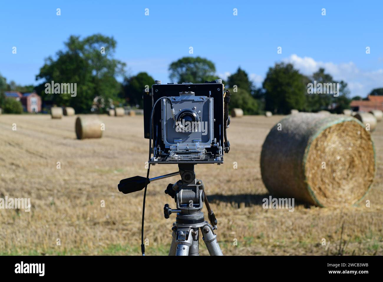 Großformat-MPP (Micro Precision Projects) 5x4"-Folienkamera, vor Ort zur Erntezeit york uk Stockfoto