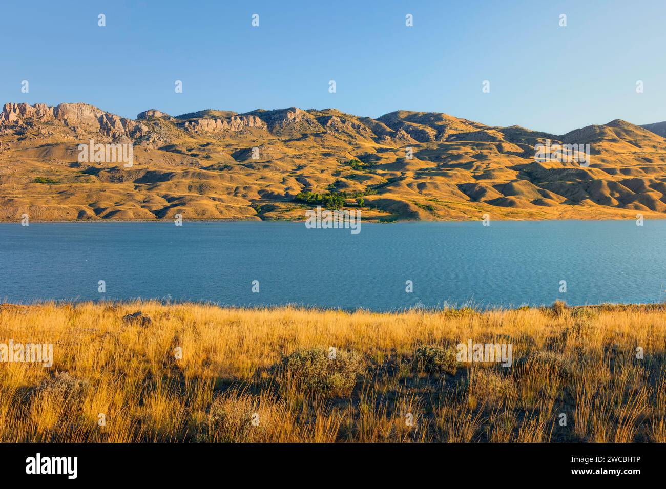 Über den Shoshone River und das Reservoir mit den Ausläufern der Rocky Mountains am Horizont und wilden Gräsern im Vordergrund unter blauem Himmel in der Abenddämmerung. Cody, USA. Stockfoto