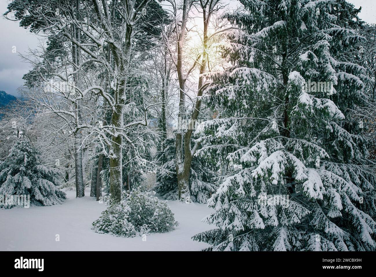 DE - BAYERN: Winter entlang der Isar (Isartal), Oberbayern, Deutschland von Edmund Nagele FRPS Stockfoto
