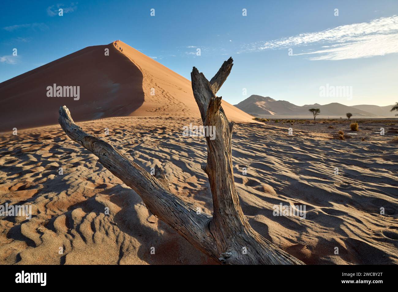 Gruppe von Touristen, die die Sanddünen der Namib-Wüste unter starkem Wind erklimmen, Namibia, Afrika Stockfoto