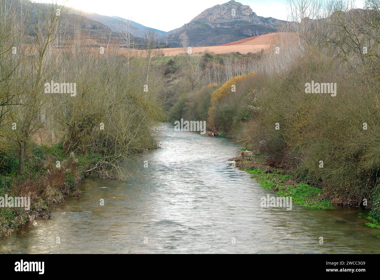 Oja. La Rioja, Spanien. Stockfoto
