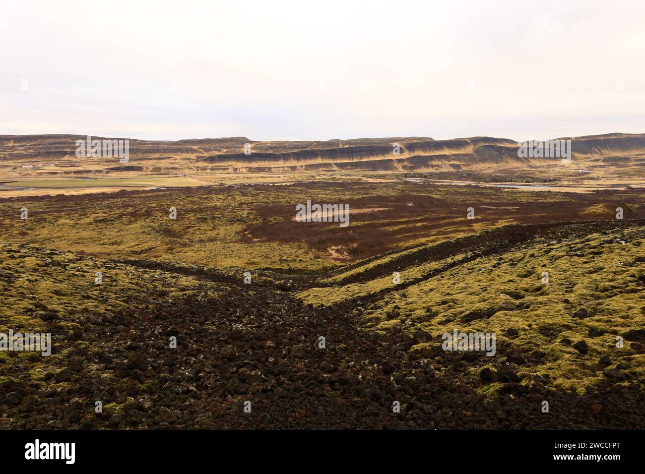 Grábrók ist ein explosiver Vulkan, etwa 170 Meter hoch und befindet sich im Westen Islands. Stockfoto