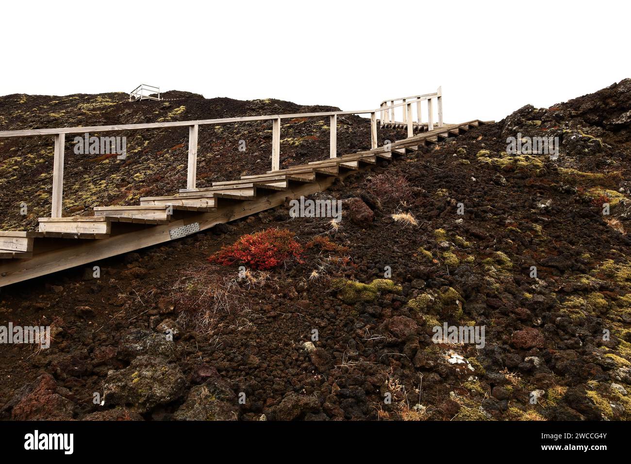 Grábrók ist ein explosiver Vulkan, etwa 170 Meter hoch und befindet sich im Westen Islands. Stockfoto
