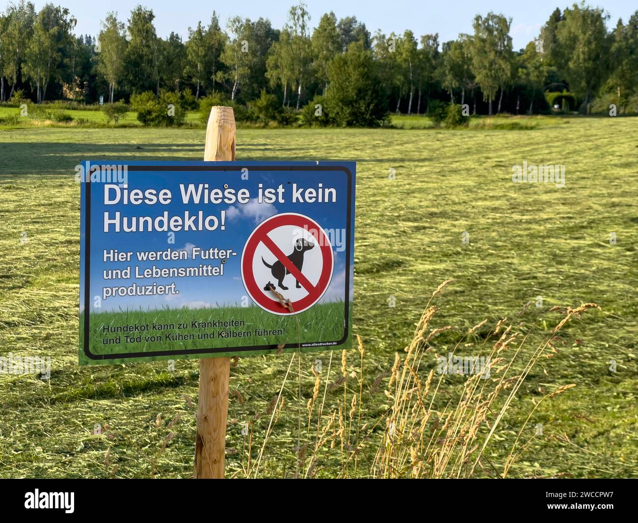 06.07.2023, Bad Wörishofen im Unterallgäu Ein Bauer hat eine