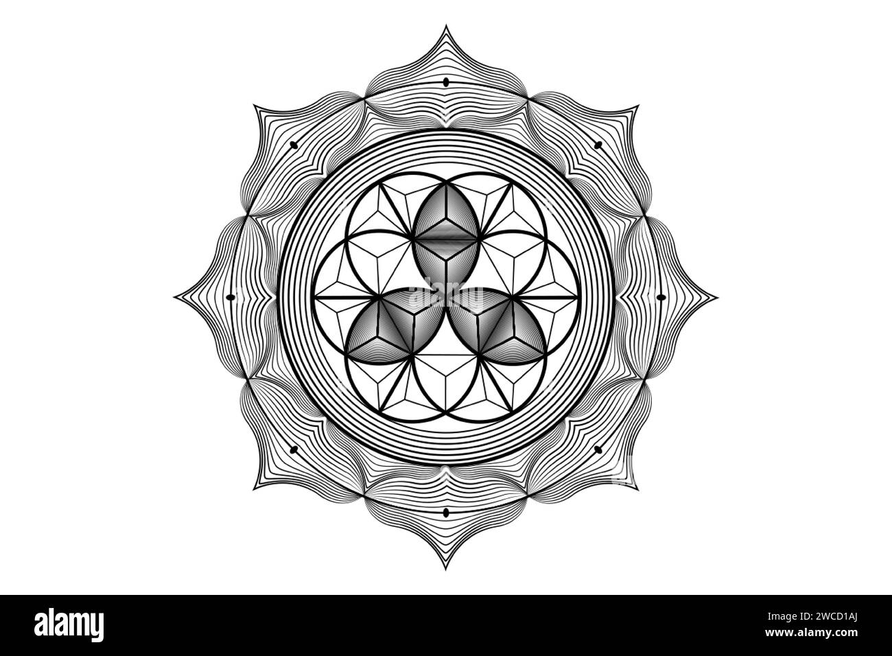 Heiliger Lotus yantra Mandala, mystische Blume des Lebens. Heilige Geometrie, grafisches Element des Vektorlogos isoliert. Mystic Icon Samed of Life, 3D geometrisch Stock Vektor