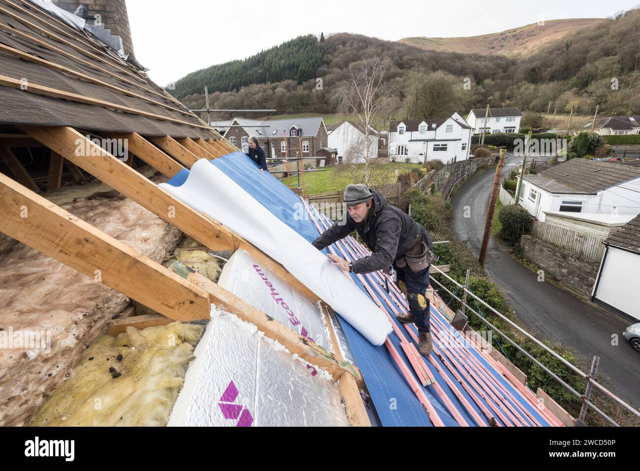 Filz auf einem Hausdach ausrollen, bevor die Schlagstöcke erneuert und Loft-Isolierung gezeigt wird, Llanfoist, Wales, Großbritannien Stockfoto