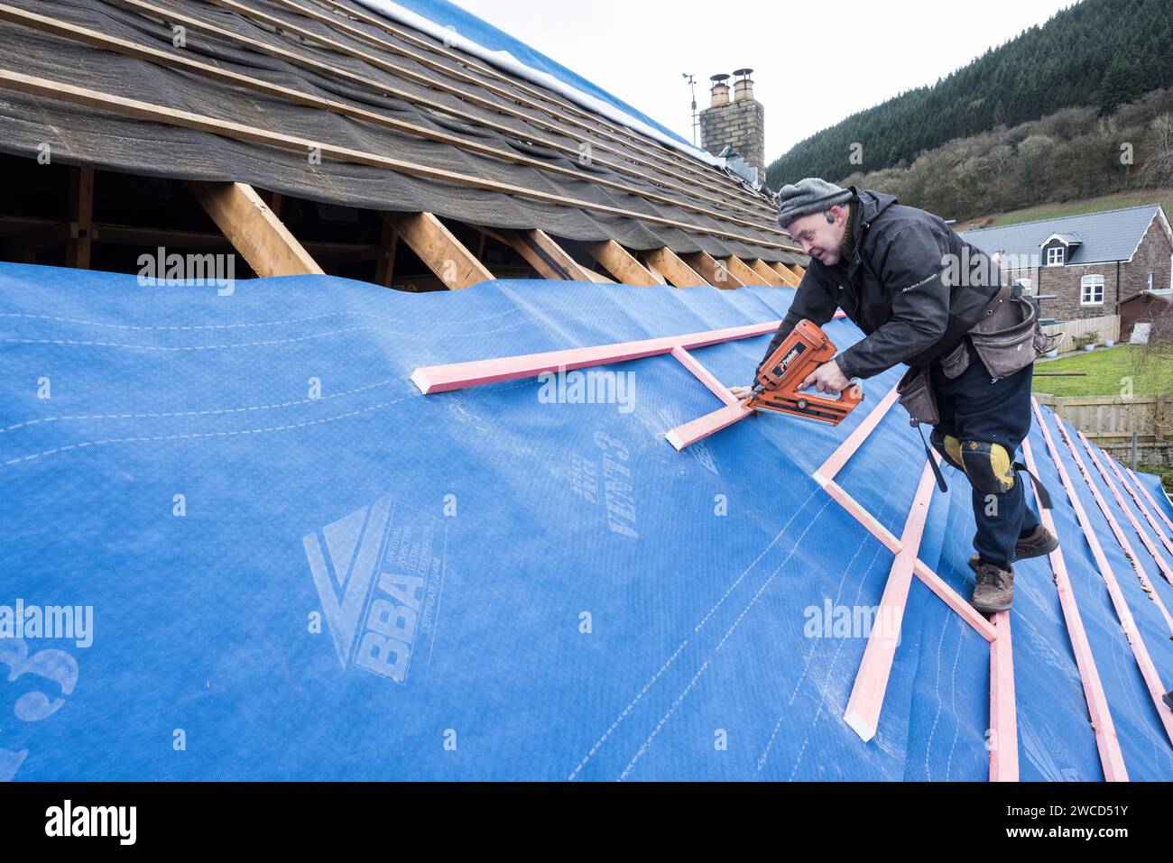 Mit einer Nagelpistole, um Schlagstöcke an einem neuen Dachersatz zu befestigen, Llanfoist, Wales, Großbritannien Stockfoto