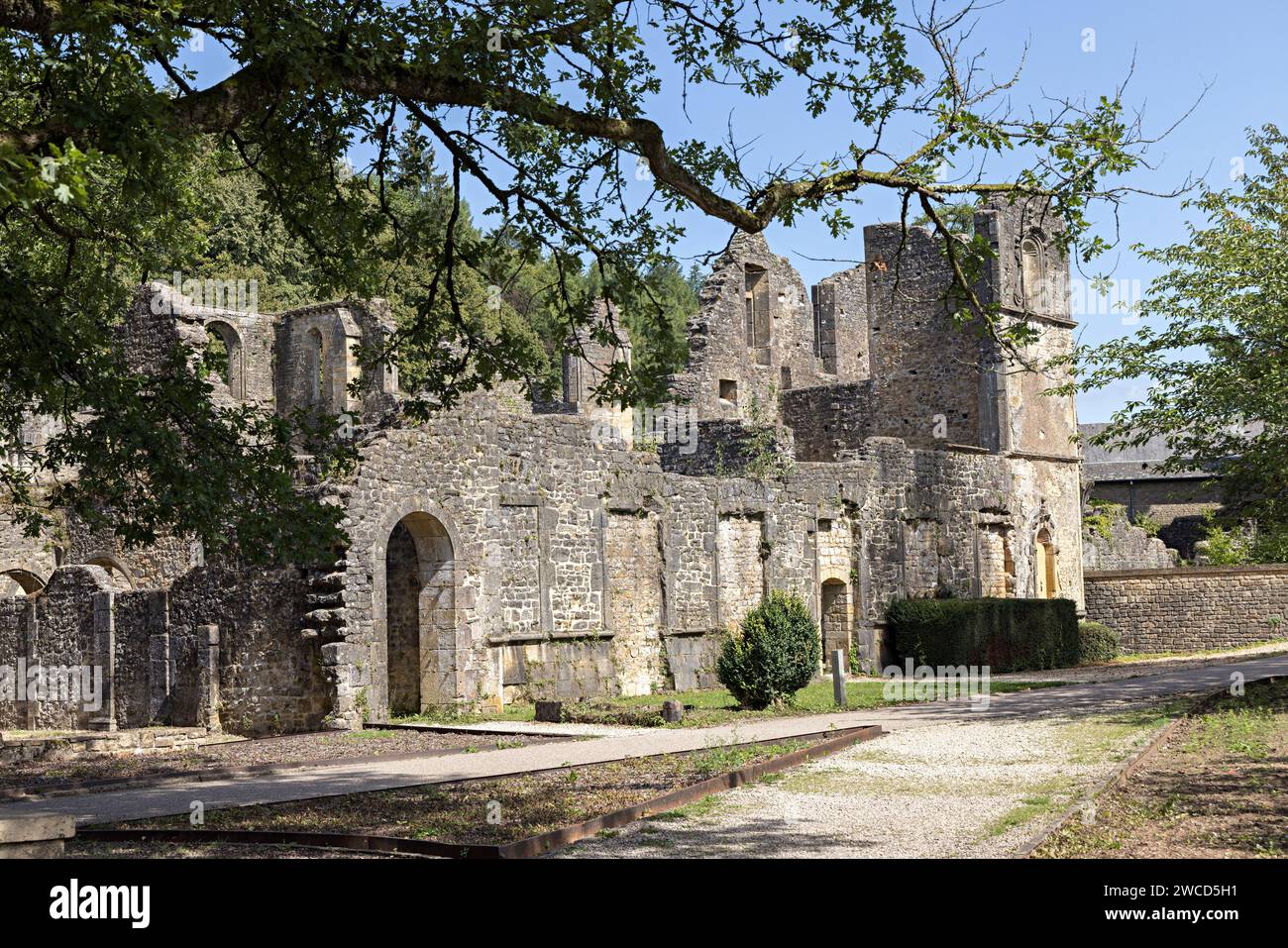 Ruinierte Abtei in Orval, Belgien Stockfoto