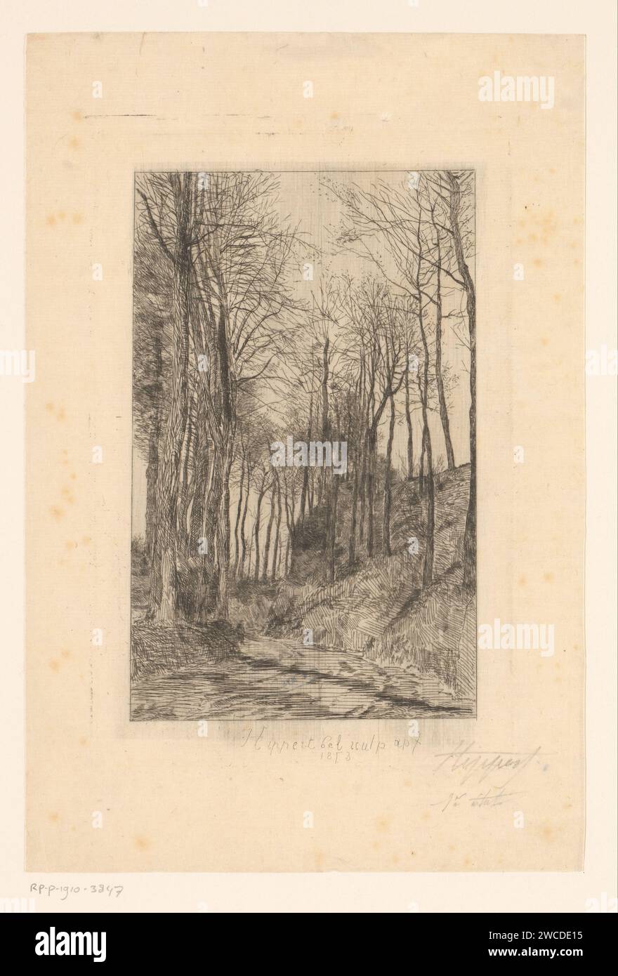 Landweg entlang von Hügeln mit Bäumen, Karel Theodoor Hippert, 1873 Druckpapier, das Waldweg oder Weg graviert. Bäume. Low Hill Country Stockfoto