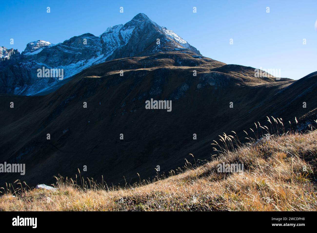 Parc Ela: Aufstieg zur Chamona-Hütte und Blick ins Val Spadlatscha Stockfoto