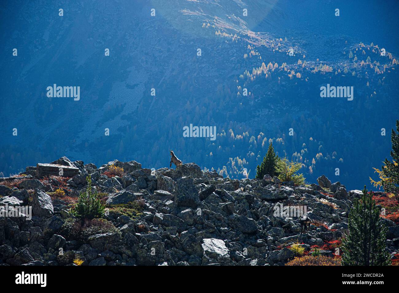 Herbstlicher Weitblick im Val da Camp mit seinen faszinierenden Bergseen Stockfoto