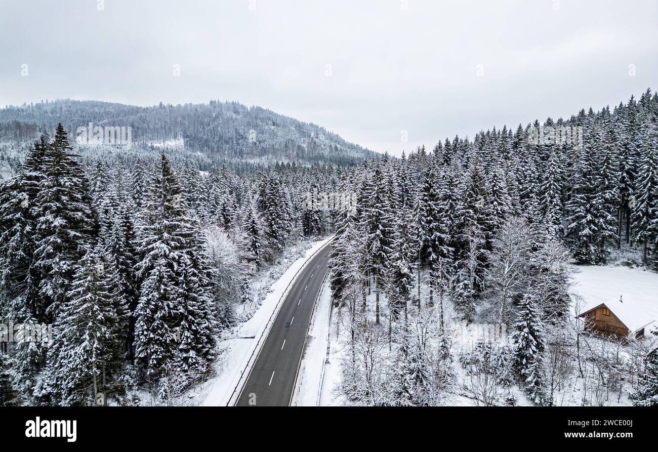Winterlicher Schwarzwald Blick über die verschneiten Tannen im ...