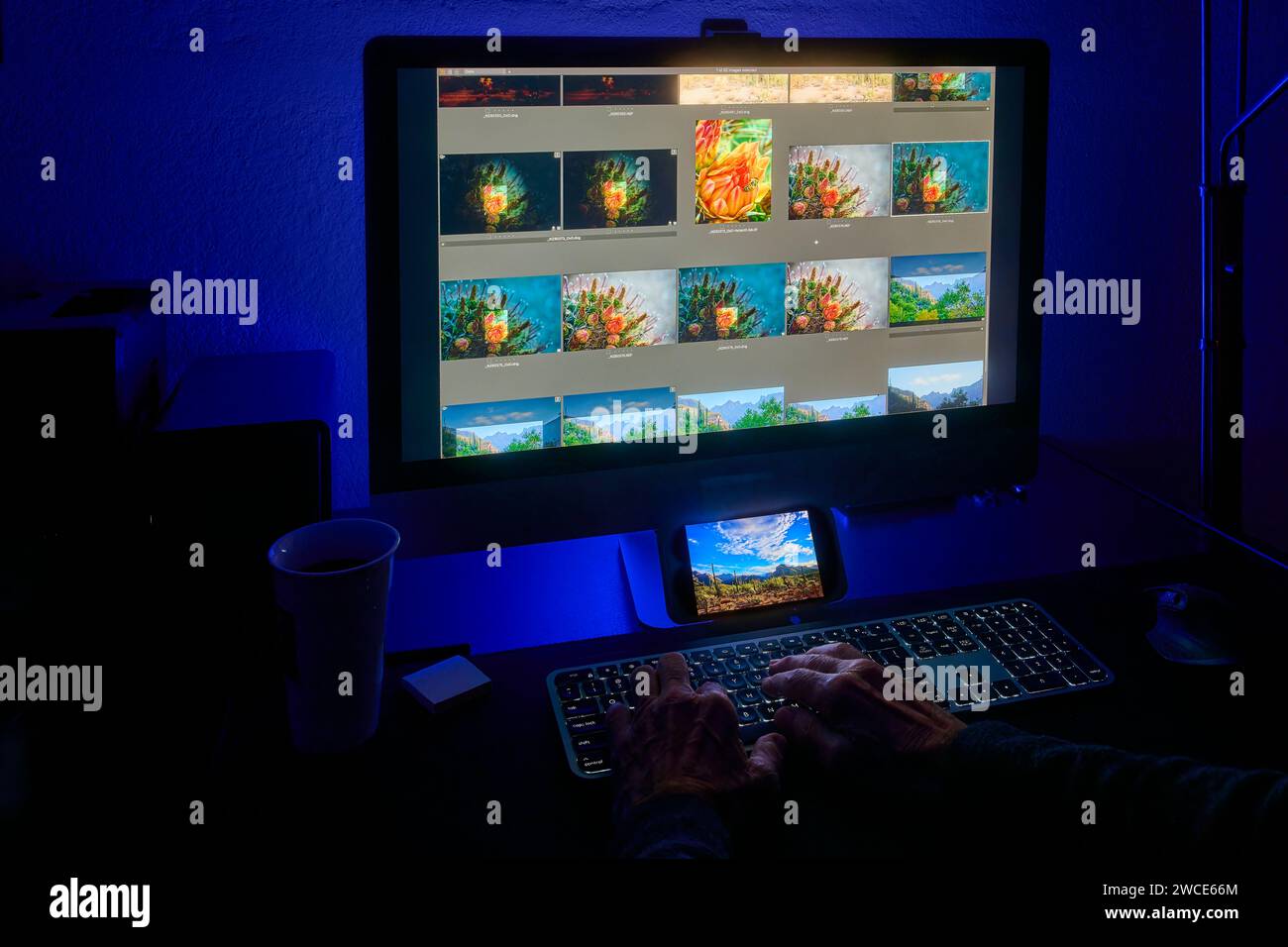 Das Foto erfasst die Hände einer Person, die bei der Arbeit beschäftigt ist, und bearbeitet eine Sammlung farbenfroher Bilder auf einem großen Computermonitor. Stockfoto