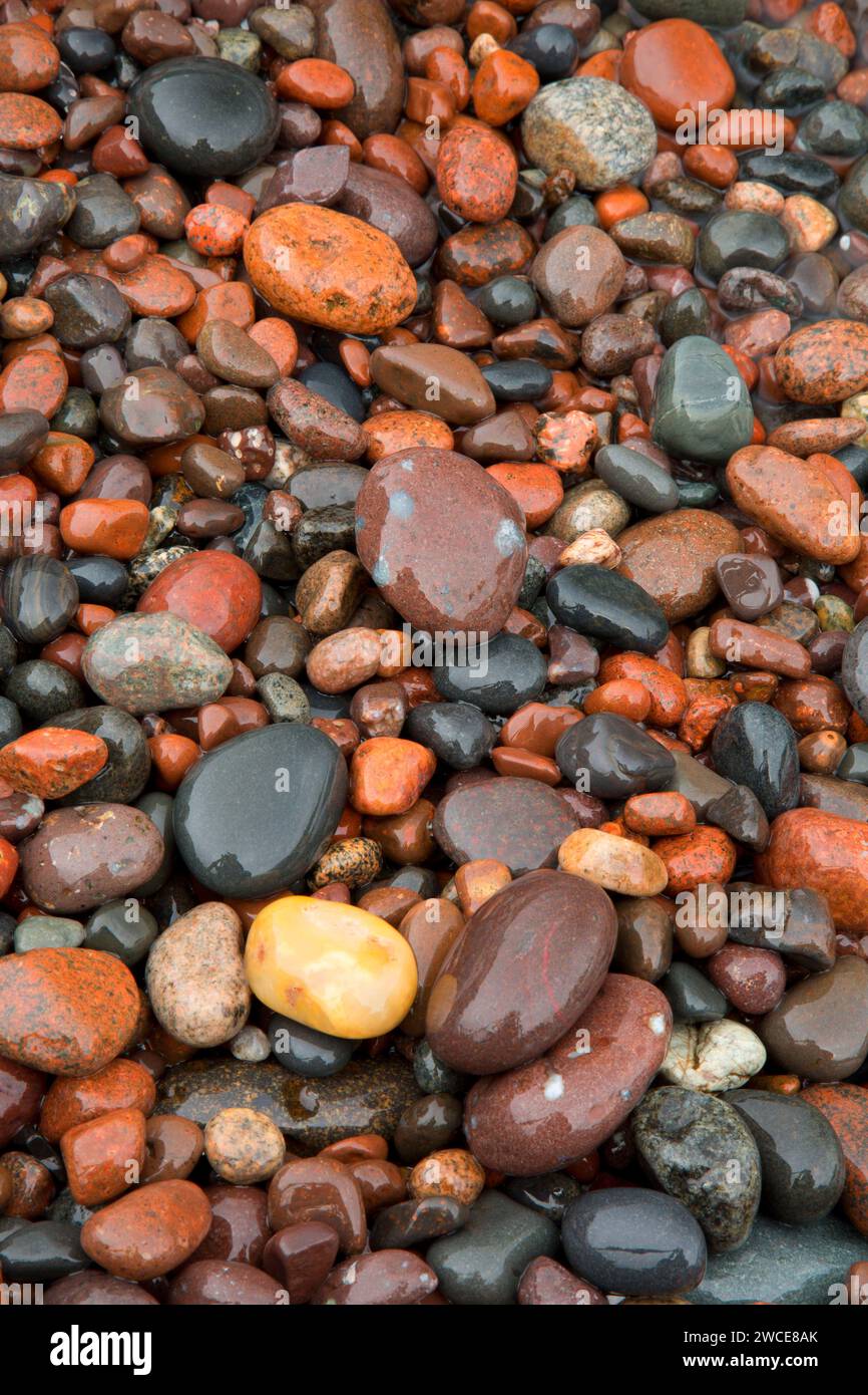 Cobble Beach, Sugarloaf Cove State natürliche Umgebung, Minnesota Stockfoto