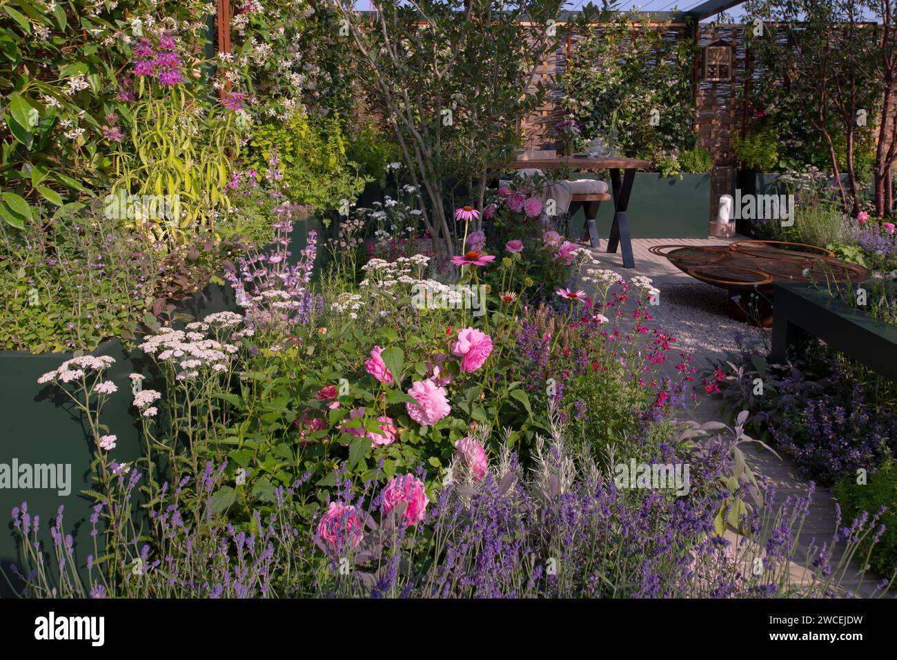 Rosa und Lavendel in einer Grenze in der Landform Mental Wealth Garden, entworfen von Nicola Hale. Stockfoto