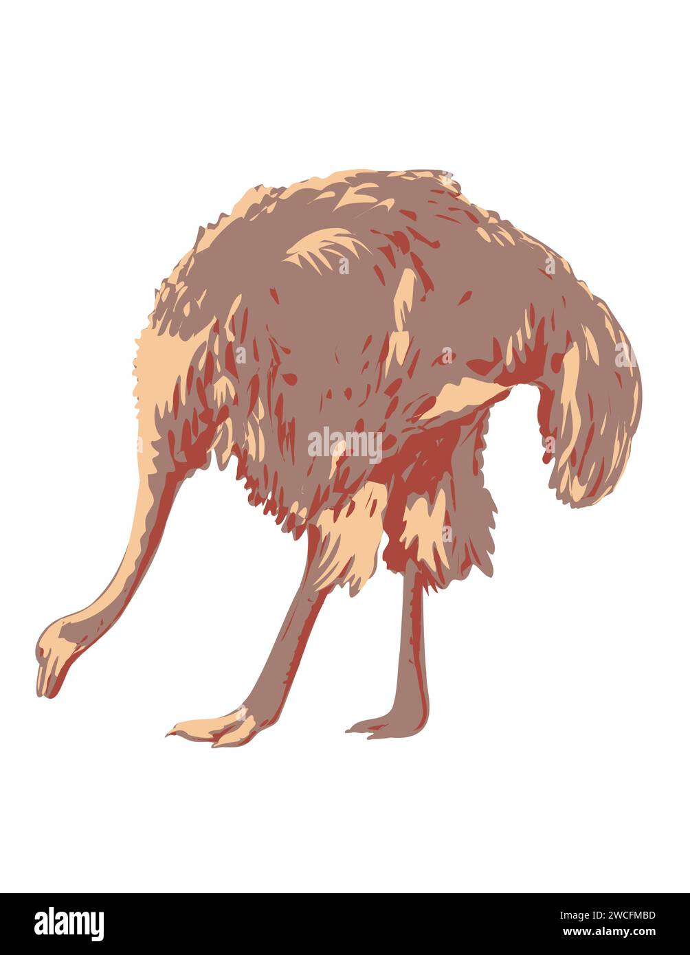 Art Deco- oder WPA-Poster eines gewöhnlichen Straußes oder somalischen Straußes, ein großer flugunfähiger Vogel, der von der Seite isoliert im Hintergrund gesehen wird, der in der Projektverwaltung der Arbeiten erstellt wurde Stockfoto