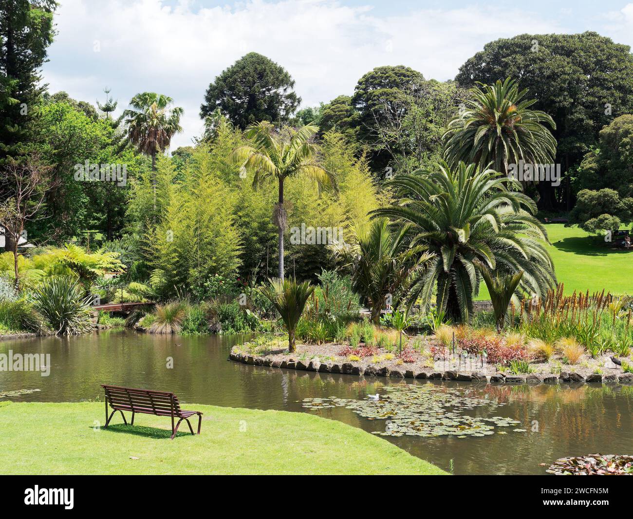 Blick auf die offenen Grünflächen der Royal Botanic Gardens in Melbourne, Victoria, Australien an einem sonnigen Frühlingstag im November. Stockfoto