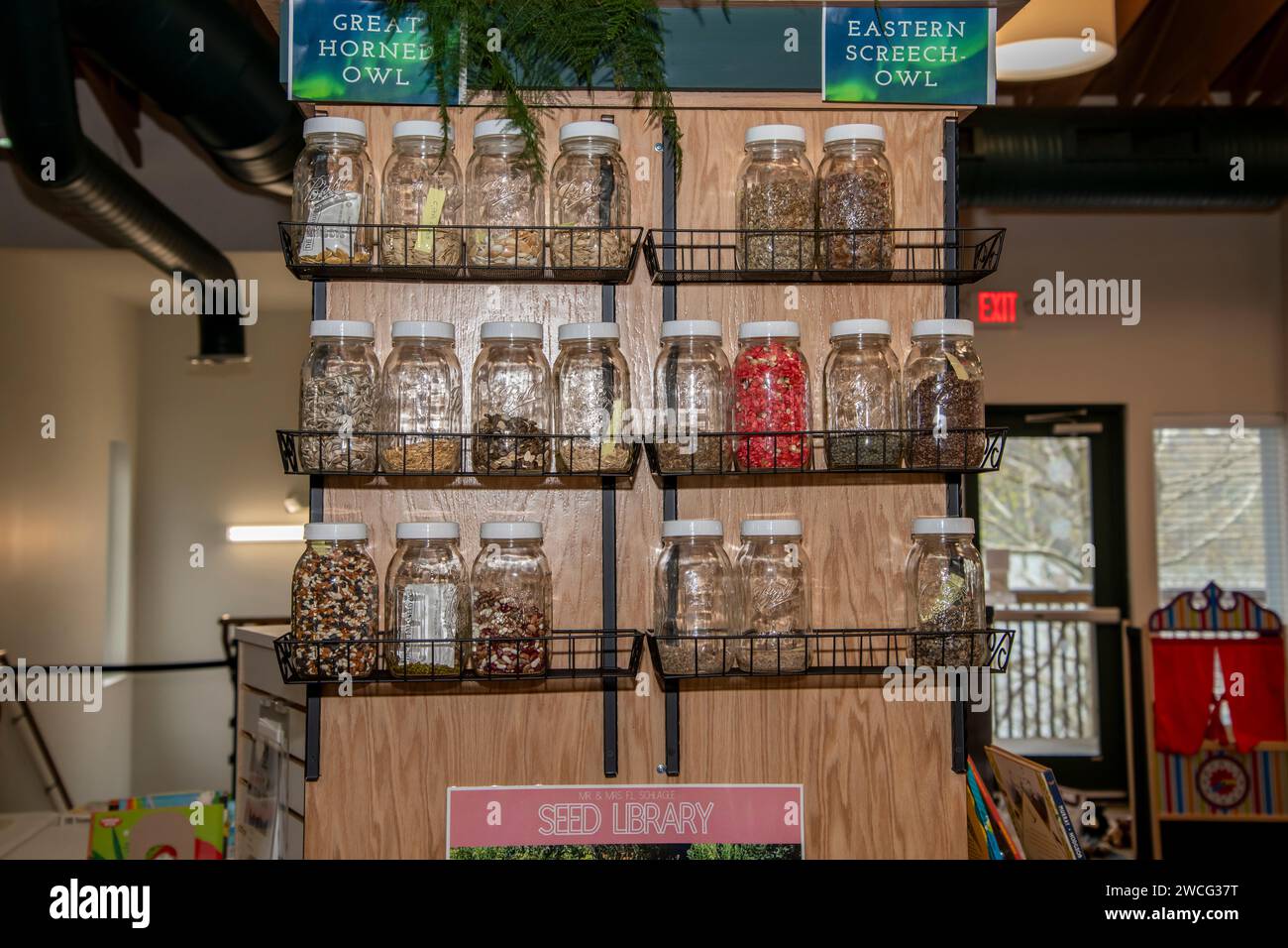 Kansas City, Kansas. Eine Ausstellung von Pflanzen- und Futtersaaten für den Garten in der F. L. Schlagle Library und dem Environmental Learning Center. Es ist eine von ON Stockfoto