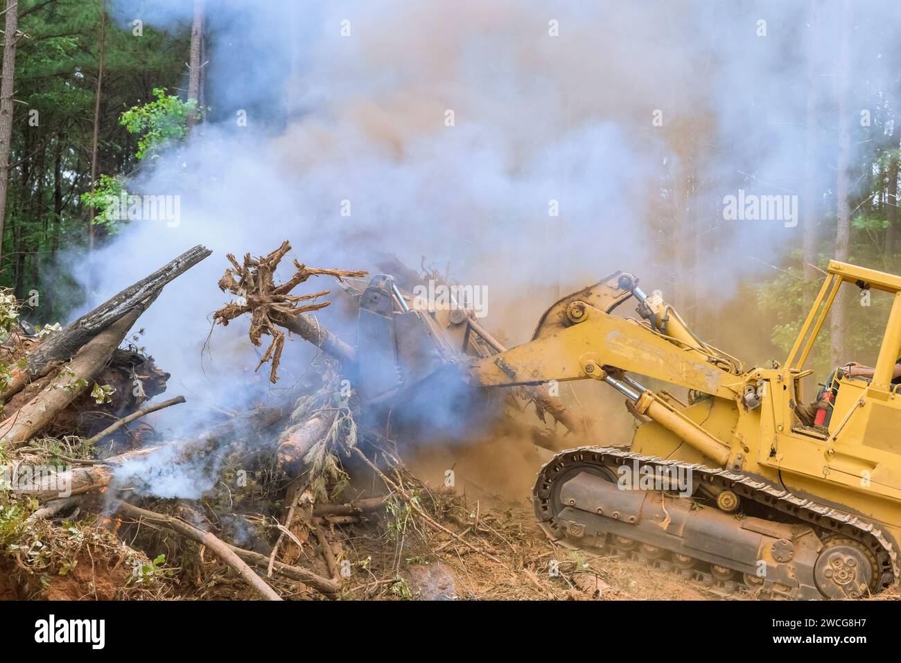 Der Wald wurde während der Vorbereitung von Land für den Bau von Häusern durch umgestürzte Bäume verbrannt Stockfoto