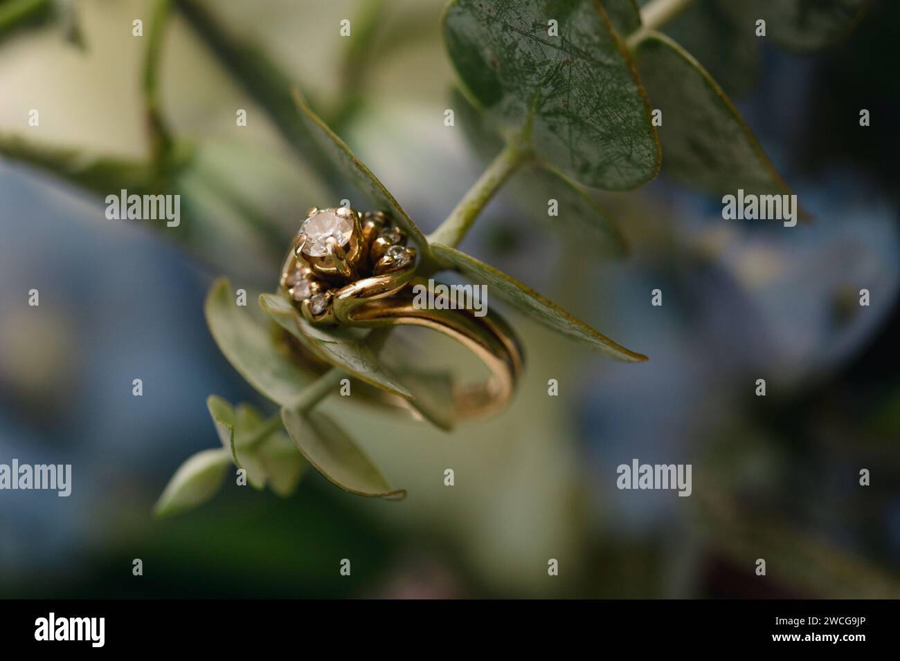 Goldener Ehering auf floralem Hintergrund, Hochzeitshintergrund Stockfoto