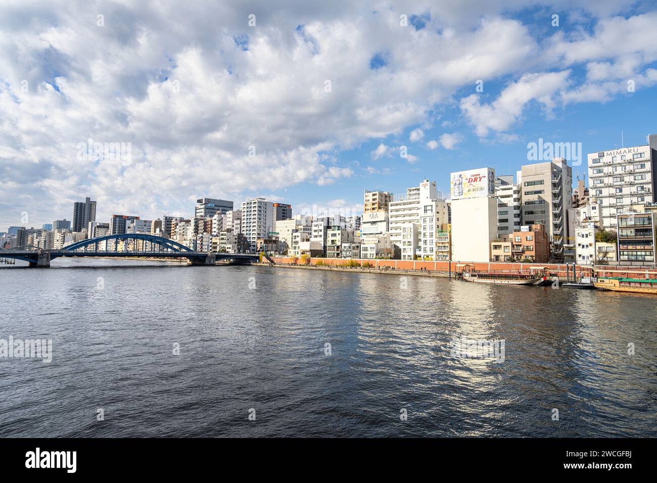 Tokio, Japan. Januar 2024. Panoramablick auf den Fluss Sumida im Stadtzentrum Stockfoto