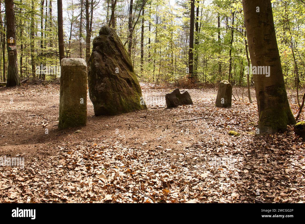 Kreisförmiges Hinkelsteindenkmal an einem Frühlingstag im Pfälzerwald. Stockfoto