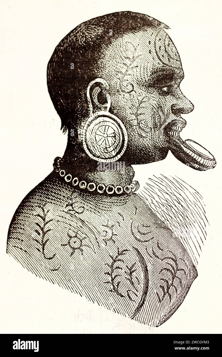 Botocudo-Frau im Profil mit großer Lippenplatte und Ohrstöpsel, tätowierter Haut und traditionellen Verzierungen. Holzschnitt. Veröffentlicht 1878 von Brehm, Bail Stockfoto